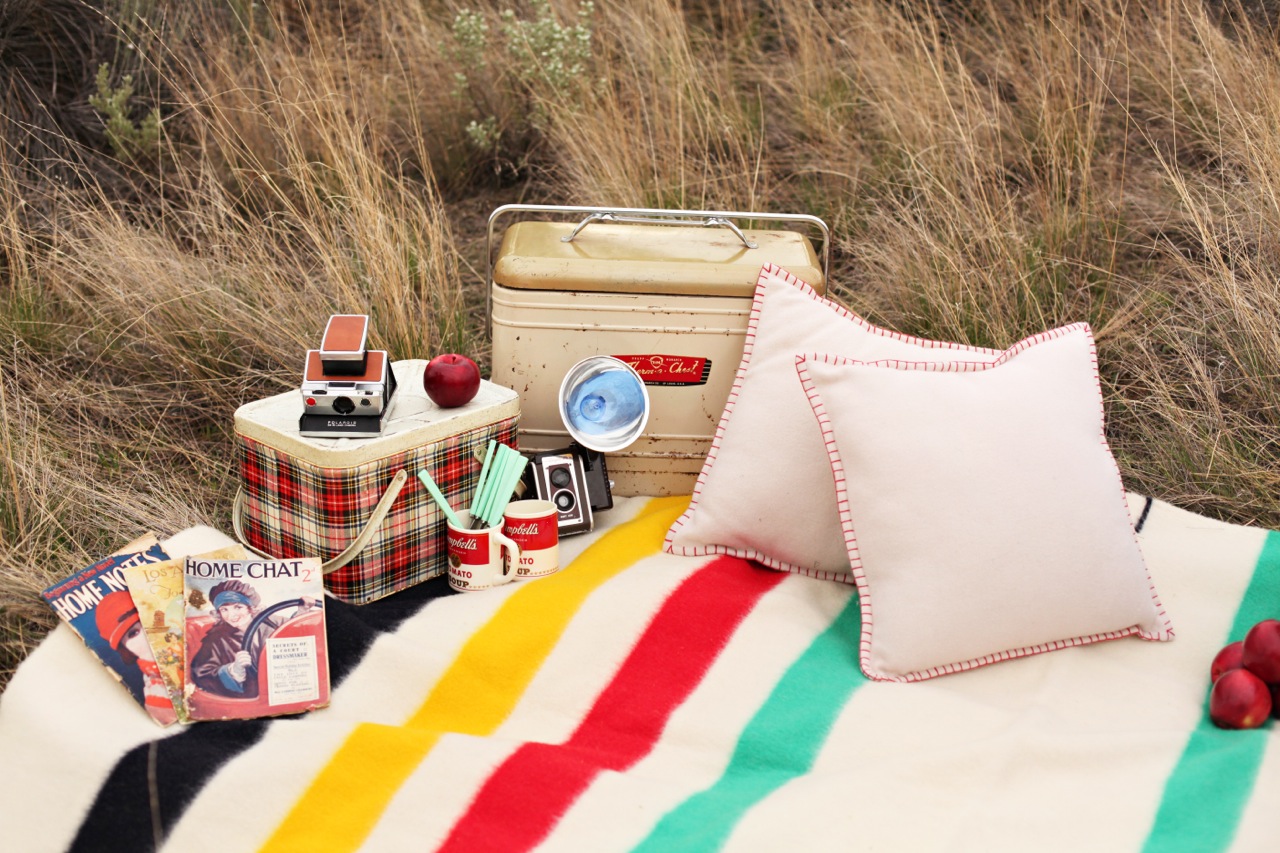 Ce que vous avez besoin pour organiser une picnic d'été